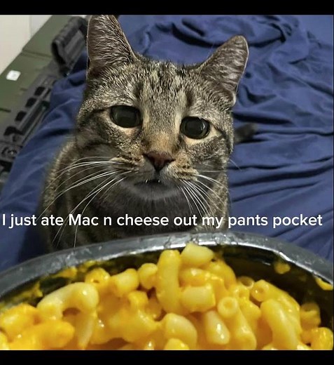 I just ate Mac n cheese out of my pants pocket