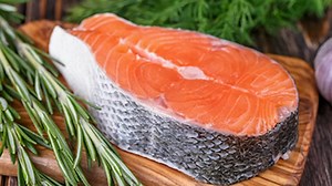 Genetically modified fish to eat growing in the Midwest