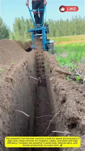 Agricultural Mini Trencher Machine - High Capacity 🚜#amazingmachinery