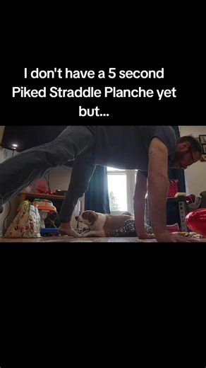 Practice Practice Practice #fyp #planche #staddleplanche #calisthetics | planche