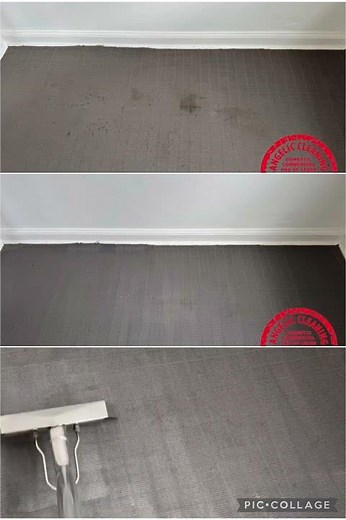 How to remove dog poop from carpet?