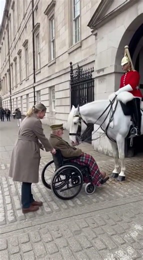 💔 A Kneel of Respect No One Will Forget