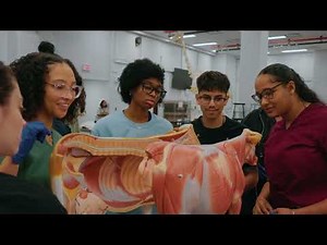 Insights into LSU Vet Med Program 2024