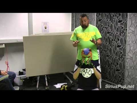 What Is A Human Pup Play