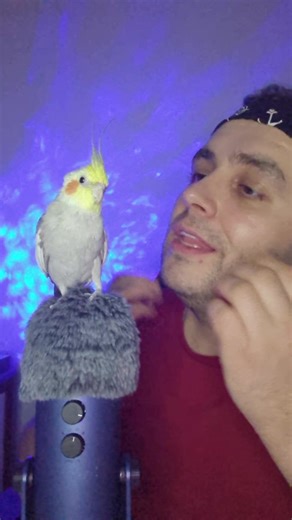 ASMR Tapping Sounds for Relaxation