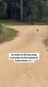 15K views · 403 reactions | Best Friends ❤️❤️♥️❤️♥️. #bestfriends #friends #friendship #funny #Amazing #adorable #wonderful . Credit: all credit to the creator. | Happi Place | Facebook