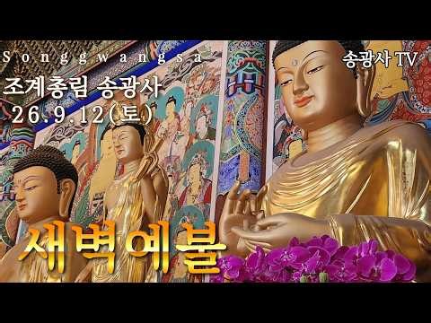 송광사 새벽예불 26.09.12(토)