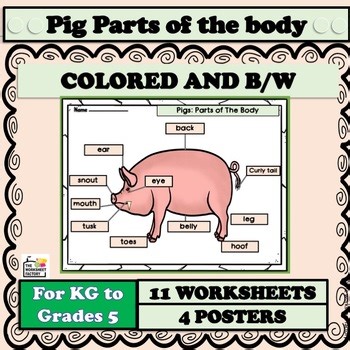 Pig Labeling Body Parts Worksheet Writing Graphic Organizers Farm Animals KG