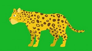 Leopard Green Screenlion Animation Lion Eating Stock Footage Video (100% Royalty-free) 3465676041 | Shutterstock