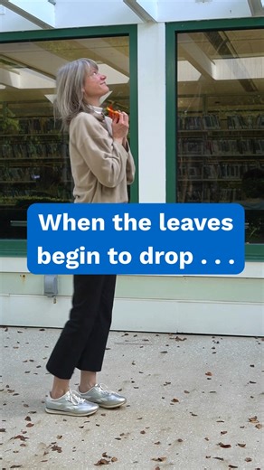 There's no better place to be . . . Spend your autumn days at your local library — where the vibes are warm, the shelves are full, and the stories never end. 🍂 📙 🧣 | St. Johns County Public Library