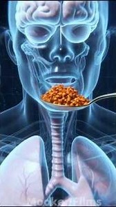 This Is Why Spicy Food Burns 🔥#youtubeshorts #spicyaddict #internationalhotandspicyfoodday