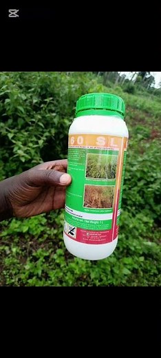 Uncovering the Causes of Environmental Degradation.