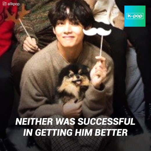 455K views · 10K reactions | There isn't an ARMY who isn't crazy about Yeontan, the pet that Kim Taehyung "V" rescued years ago and carries with him everywhere he goes. Bangtan fans have been able to watch the furry one grow up and share tender moments with the group members, especially his "daddy". The idol dedicated a warm message to his dearest companion, but there was a sour taste in his words: Yeontan has health problems that seem to be irreversible  | K-Pop World | Facebook