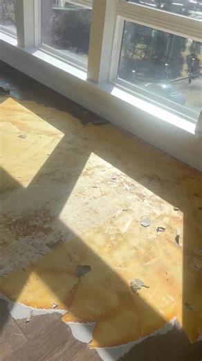 JJKB (@jjkb86)’s videos with sonido original - jesusesvida