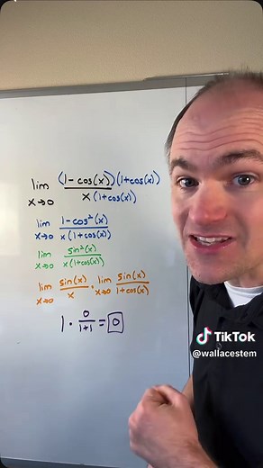 Understanding Limits with Myscript Math App