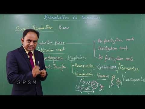 CBSE ICSE Boarding School & PU Science College in Davanagere Sexual reproduction