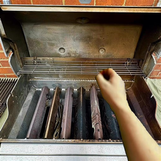 Winter rolls in… but the critters don’t! ❄️✨ This repeat client books us every year to keep his grill spotless and pest-proof. A clean grill is a healthy (and critter-free) grill! #grillcleaning #winterization #giftideas | Bar-B-Clean of Tidewater
