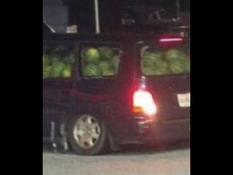 vault hunters minecraft stream