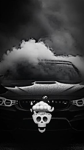 BMW Skull Edit