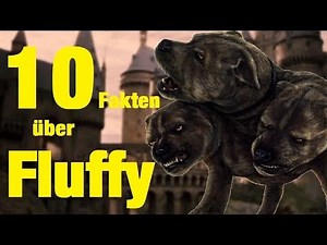 10 FAKTEN über FLUFFY