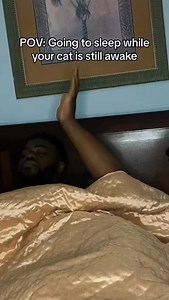 Bout to be a long night 🤦🏿‍♂️ #catsofinstagram #cats #funny #relatable #pets | Keanu Cj