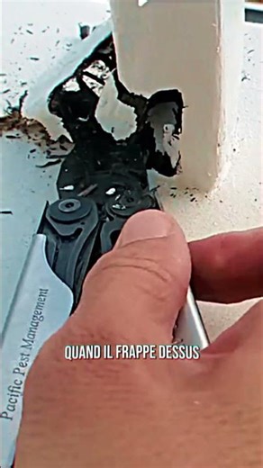 Ce menuiser est trop fort 🤯