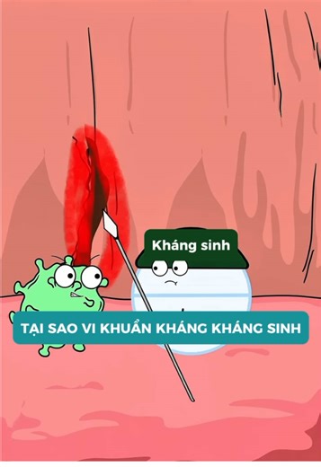 Vi khuẩn kháng kháng sinh #chiasekienthuc #suckhoe #funny #vikhuanhp #viemloetdaday