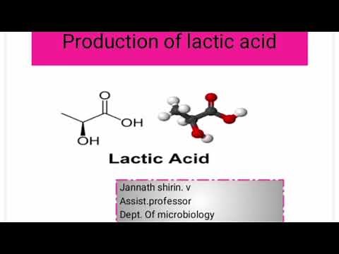 Lactic Acid Production/Industrial Microbiology#Micro zone#