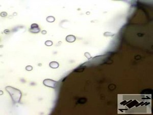 An array of different shaped and sized fluid inclusions being passed by a migrating grain boundary