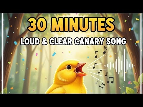 30 MINUTES LOUD HUMMINGBIRD MASTERAN! Clear Sound Makes Other Birds Sing Instantly!