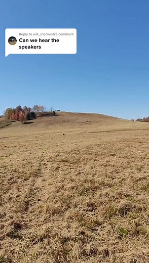 Stephen Faulkner on TikTok