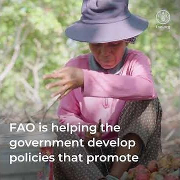 3 ways FAO is helping bring climate investment to Cambodia