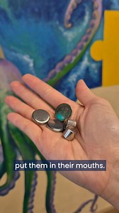 With Christmas just around the corner, our paediatric emergency team is warning of the dangers posed to children by some festive decorations and gifts🎄🧸 🎁 Button batteries These tiny batteries can cause serious harm if swallowed. Always check that toys and decorations have secure battery compartments, and keep spare batteries out of reach of children🔋 🎁 Helmets and pads Whether it’s bikes, scooters, or skateboards, make sure kids wear helmets and protective gear every time they ride 🚲🛹🛴 