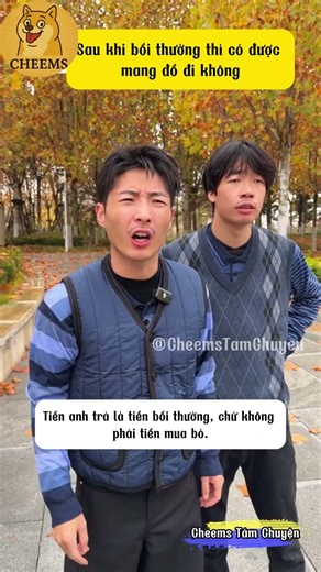 Sau khi bồi thường thì có được mang đồ đi không? | Cheems Tám Chuyện #funnyshorts #haihuoc