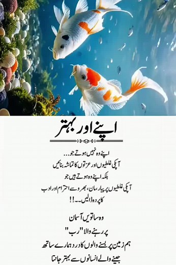 Koi Fish Swimming in Serene Pond Environment