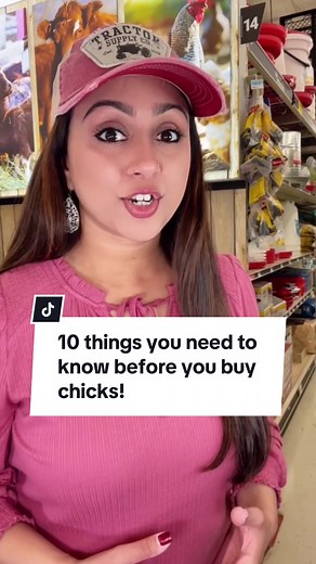 Chick Days are here! Here are 10 things you need to know before you buy chicks. Share & save this 📌 👉 Visit www.TractorSupply.com/chickdays 🐥 Follow to learn more about raising chickens 👩🏻‍🌾 Hafsa @homesteadhafsa #lifeouthere #raisingchicks #homesteading #raisingchickens #tractorsupplychickdays #tractorsupply #babychicks #chickdays