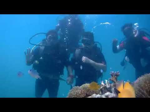 Scuba diving live view no aditing