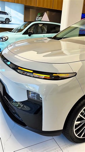 LEAPMOTOR B10 EV 2026 Luxury