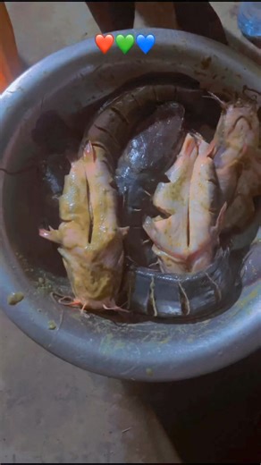 19K views · 325 reactions | Le Meilleur Poisson À Braiser  #fish #braise | Jordan Talom enterprises | Facebook