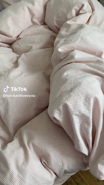 Sleepy Oriental Shorthair Cat Morning Routine