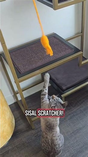 Did I just find the best cat tower ever?