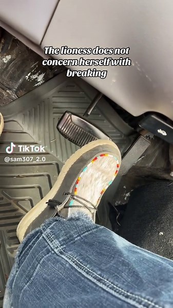 Understanding Lioness Behavior in the Wild