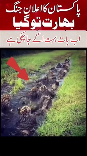 Pak Army moment training #motivation #duet #bleesing #airforce #iafplane #pakistan #pakarmy