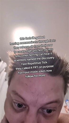 scientists officially documented fish fart communication