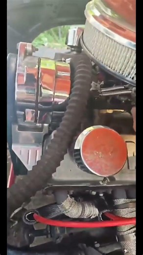 1986 pro street S10 #v8s10 #lowrider #shorts