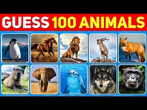 Guess 100 Animals in 3 Seconds | Easy, Medium, Hard, Impossible