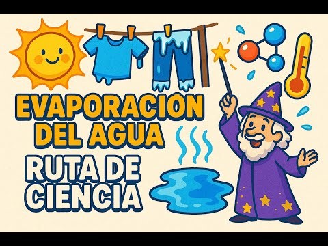 ¿Evaporación sin calor? Así se secan los charcos | Ruta de Ciencia