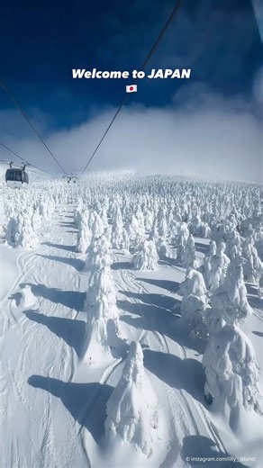 Have you ever seen these Japanese snow monsters before? They can be found in the Zao Onsen ski resort on Mount Zao in the Yamagata Prefecture. They might seem scary but they‘re actually harmless, as they‘re just trees covered in snow and ice. Would you like to go on holiday in this magical winter wonderland sometime? 📍 Zao Onsen, Japan 📸 instagram.com/lilly__island | DW Travel