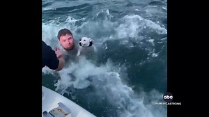 EPIC RESCUE: A dog named Zuko has reunited with his owner after a group of boaters pulled him to safety when they spotted the struggling pup off the Florida coast. Whit Johnson has a message from the rescuers after the remarkable discovery. #AmericaStrong https://abcn.ws/2XvP3JQ | ABC World News Tonight with David Muir