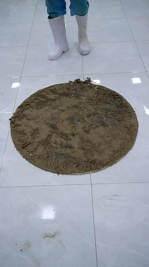 Carpet cleaning time lapse #asmr #rugwashing #satisfying #carpetcleaning